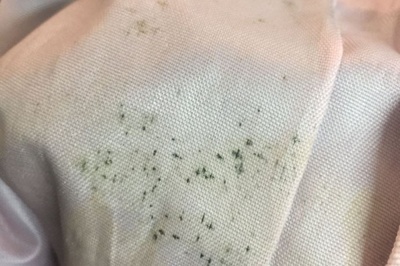 紡織類服裝發(fā)霉怎么辦？工廠如何應對以及如何清洗